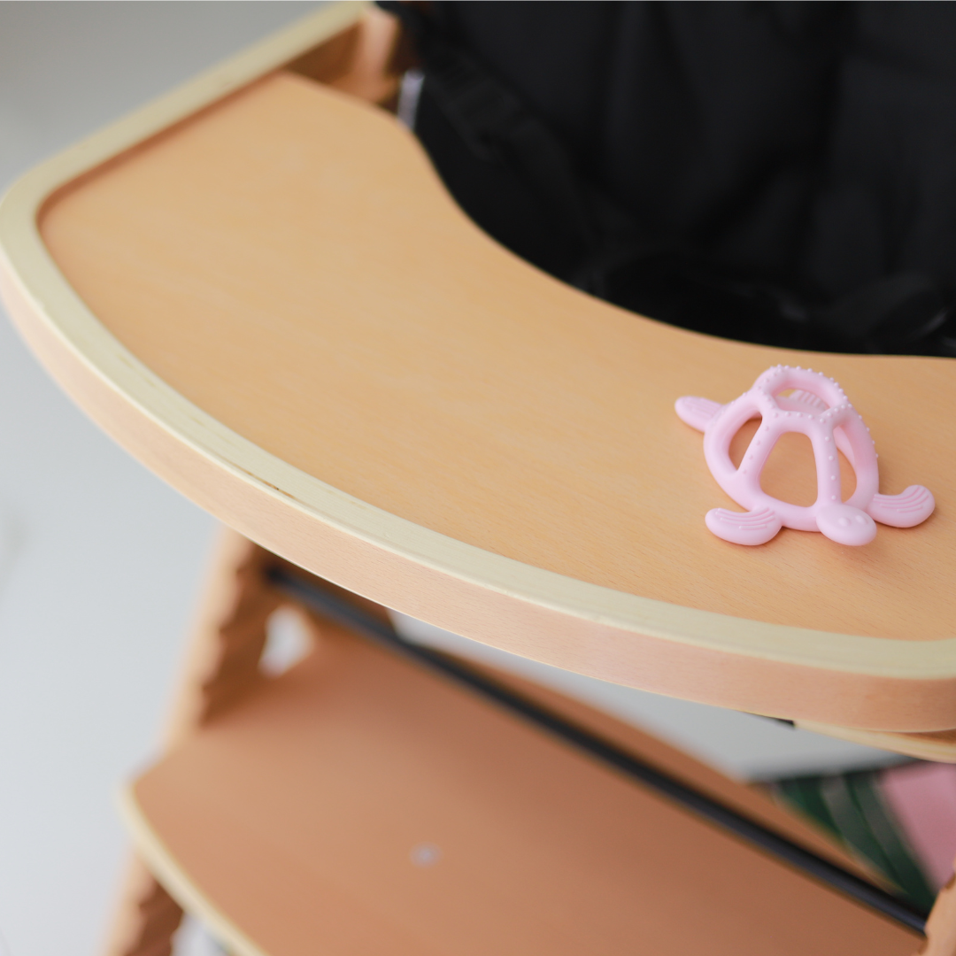 Turtle Silicone Teether